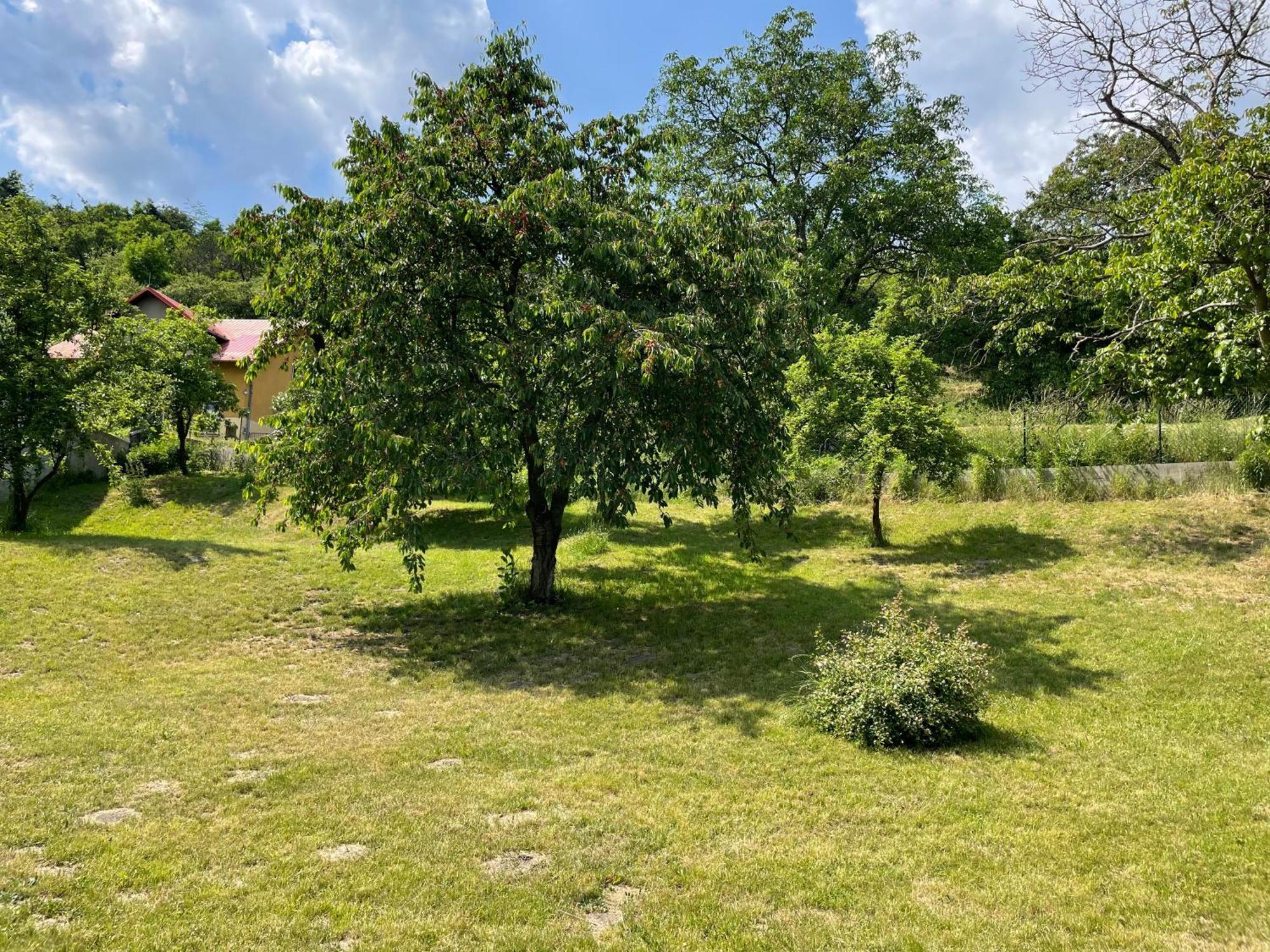 Penzion Villa Amelie Mladá Boleslav Exterior foto